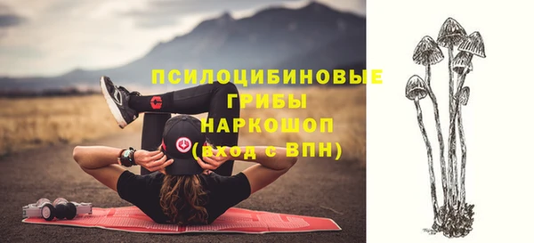 соль курить ск Алексин