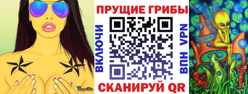 наркошоп  Струнино  Галлюциногенные грибы GOLDEN TEACHER 